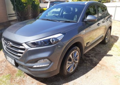 Full detail Brahma lodge