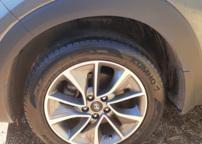 Full detail Brahma lodge