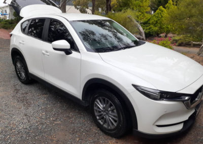 comprehensive detail - aberfoyle park