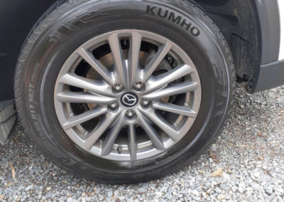 comprehensive detail - aberfoyle park